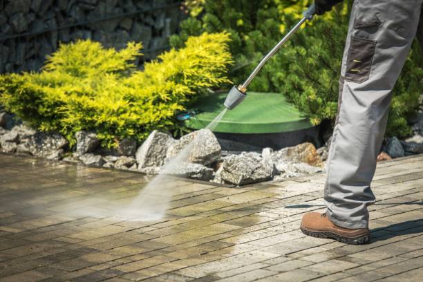 Best Fence Cleaning  in Stevenson, AL